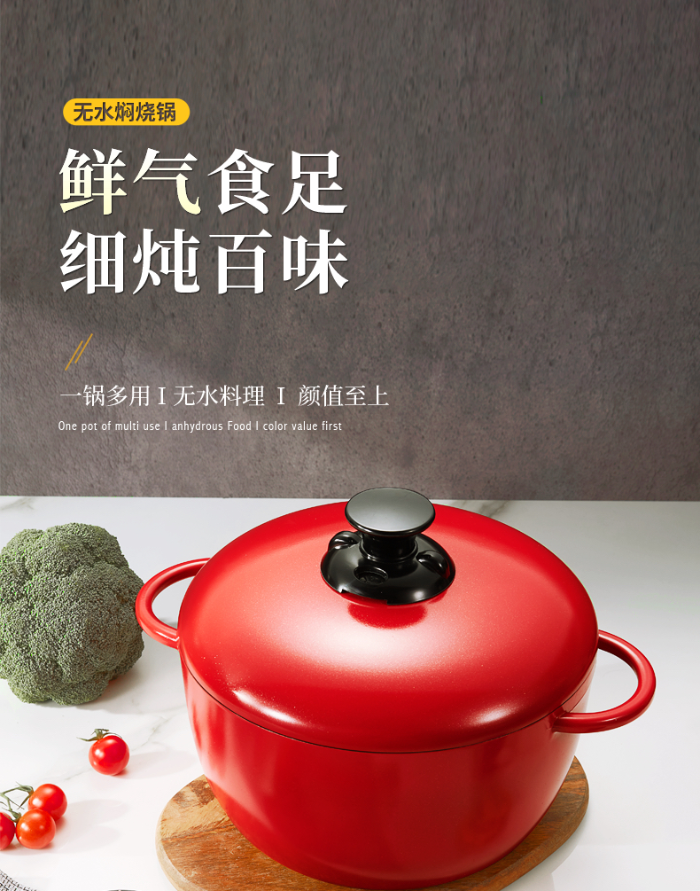 进口品质日本珐琅锅无水焖烧煲汤煮炖非铸铁加厚通用复底多用锅