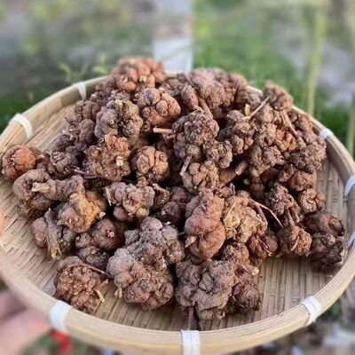 消瘤果过路黄果贵州大山里刘寄奴中药材金丝桃寄生500克包邮