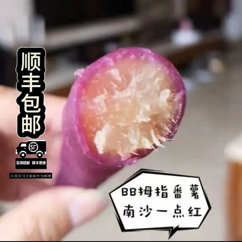 正宗一点红番薯产地现挖软糯红薯