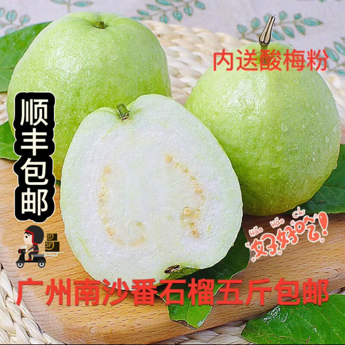 正宗南沙新鲜番石榴芭乐脆甜爽口