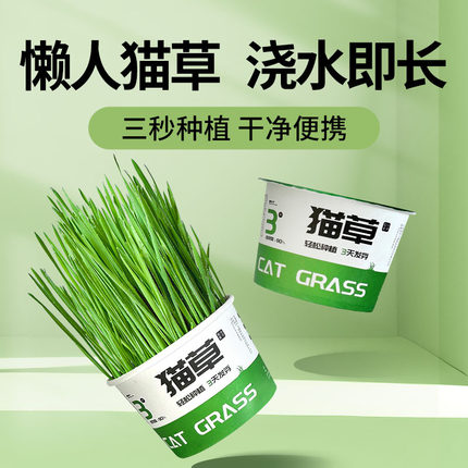 懒人泡面猫草盆栽水培盆猫草杯猫咪排毛零食小麦种子宠物狗狗零食