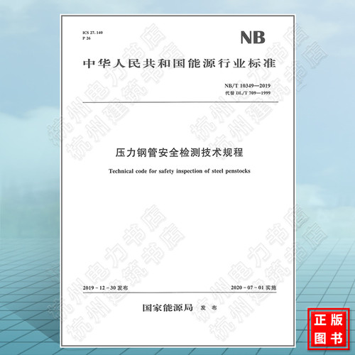 NB/T10349-2019压力钢管安全检测技术规程