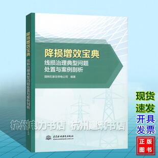 线损治理典型问题处置与案例剖析 降损增效宝典 国网石家庄供电公司 中国水利水电出版社 9787522636795