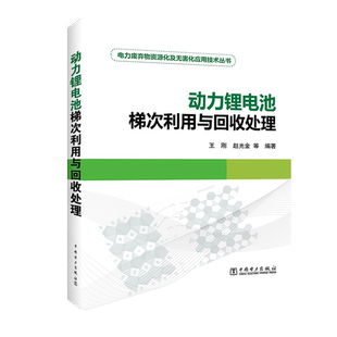 电力废弃物资源化及无害化应用技术丛书：动力锂电池梯次利用与回收处理