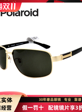 墨镜偏光大框太阳眼镜