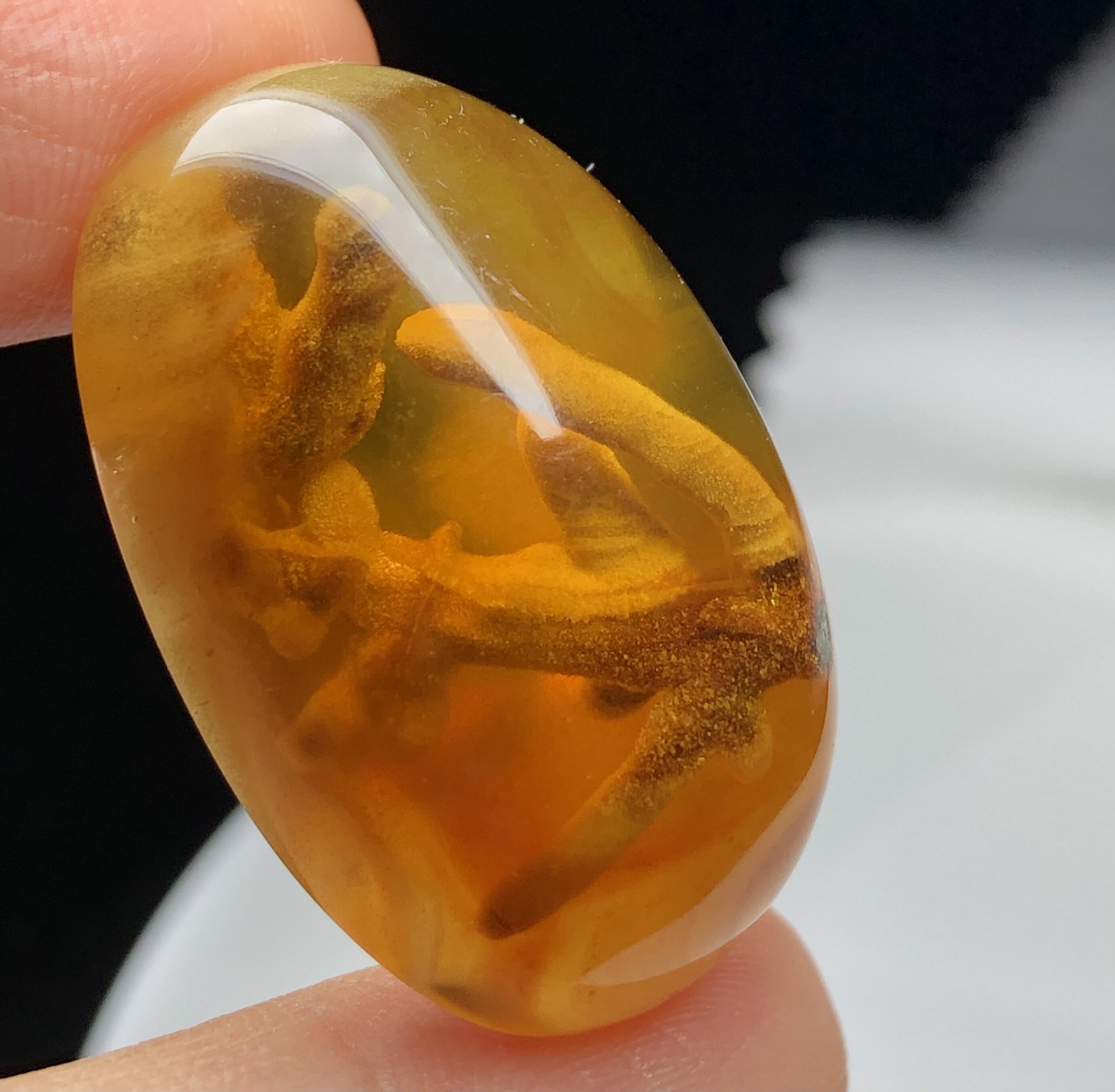 天然缅甸琥珀原矿珀蜜蜡植物珀 蛋面随形  树枝粗壮完整