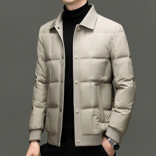江西共青城羽绒2025冬季时尚纯色羽绒服男休闲保暖90%白鸭绒韩版