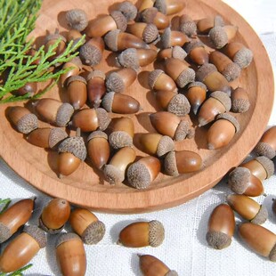 森系天然橡子橡果装饰品手工干花挂件干果圣诞布景幼儿园环创摆件