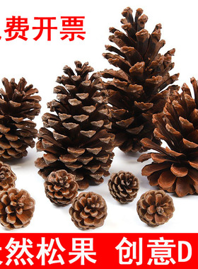 松果装饰圣诞野生松塔干花束树枝