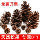 松果装 饰圣诞野生松塔干花束树枝环创布置幼儿园儿童手工diy材料