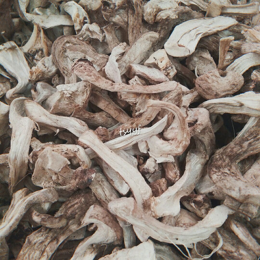 云南特产文山香菇脚香菌丝500g 粗煮汤油炸烧烤麻辣多省包邮