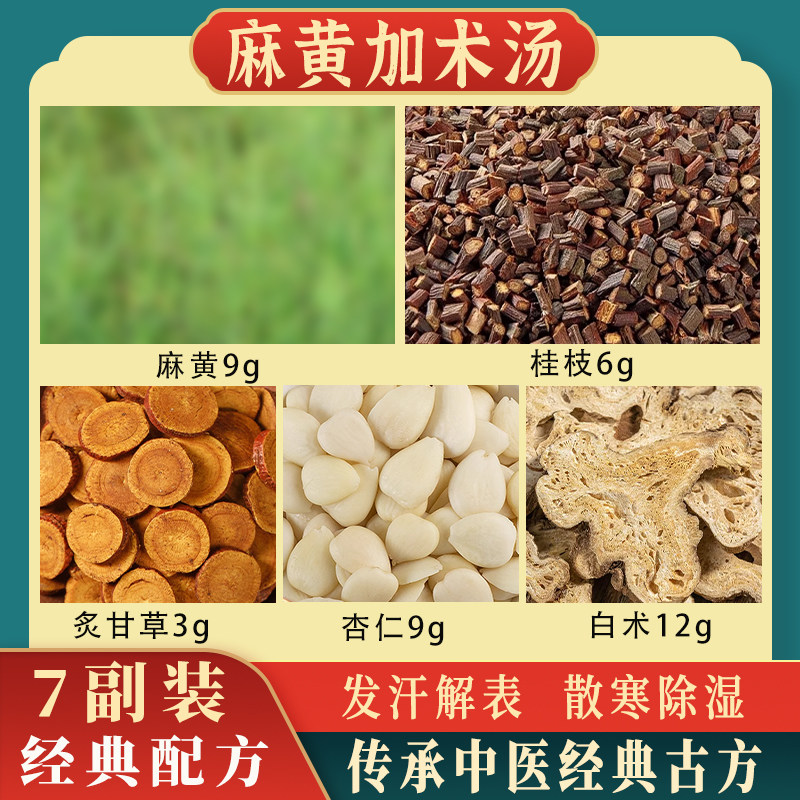 倪海厦麻黄加术汤发汗解表散寒除湿麻ma黄苦杏仁桂枝炙甘草白术