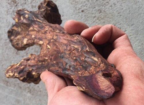 紫油梨海南海黄老料黄花梨