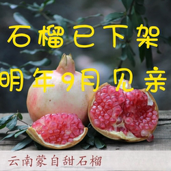 云南蒙自石榴 新鲜现摘 薄皮多汁 老树 水晶甜绿籽石榴 坏果包赔