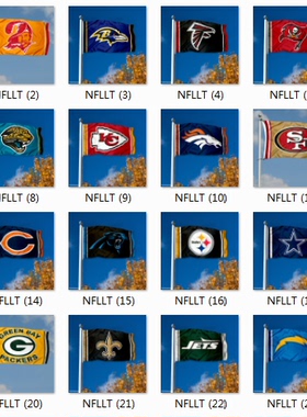 Football Denver Broncos Dallas Cowboys Houston Texans Flag