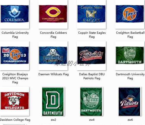 Columbia University Concordia Cobbers Coppin State Eagl Flag