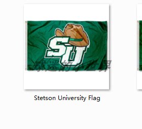 Stetson University CSS Saints Flag史丹森大学球迷旗帜