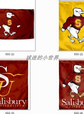 Salisbury Sea Gulls Flag索尔兹伯里海鸥大学名校校旗海报定制