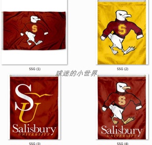 Salisbury Sea Gulls Flag索尔兹伯里海鸥大学名校校旗海报定制