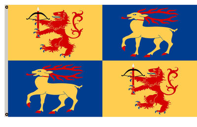 Arms banner County Kalmar County flag订制MLB NHL NFL NBA旗帜