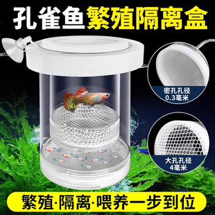 孵化盒孔雀鱼鱼缸繁殖隔离盒小型鱼卵鱼苗斑马鱼斗鱼缸内水族用品