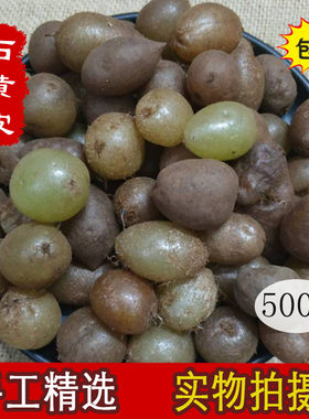新货野生石黄皮 凤凰蛋 肾蕨子 中药材500g包邮