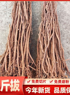 野生新货千斤拔中药材