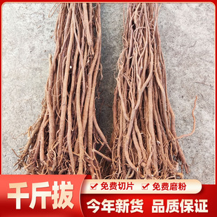 中药材千斤拨千金拔 一条根  吊马桩 金牛尾 500g包邮