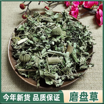 广西野生磨盘草中药材500克 新货耳响草 中草药磨盆草另售磨盘子