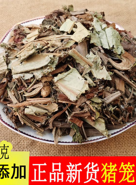 猪笼草中草药500克包邮 捕虫草猪仔草 忘忧草猪仔笼 雷公平中药材