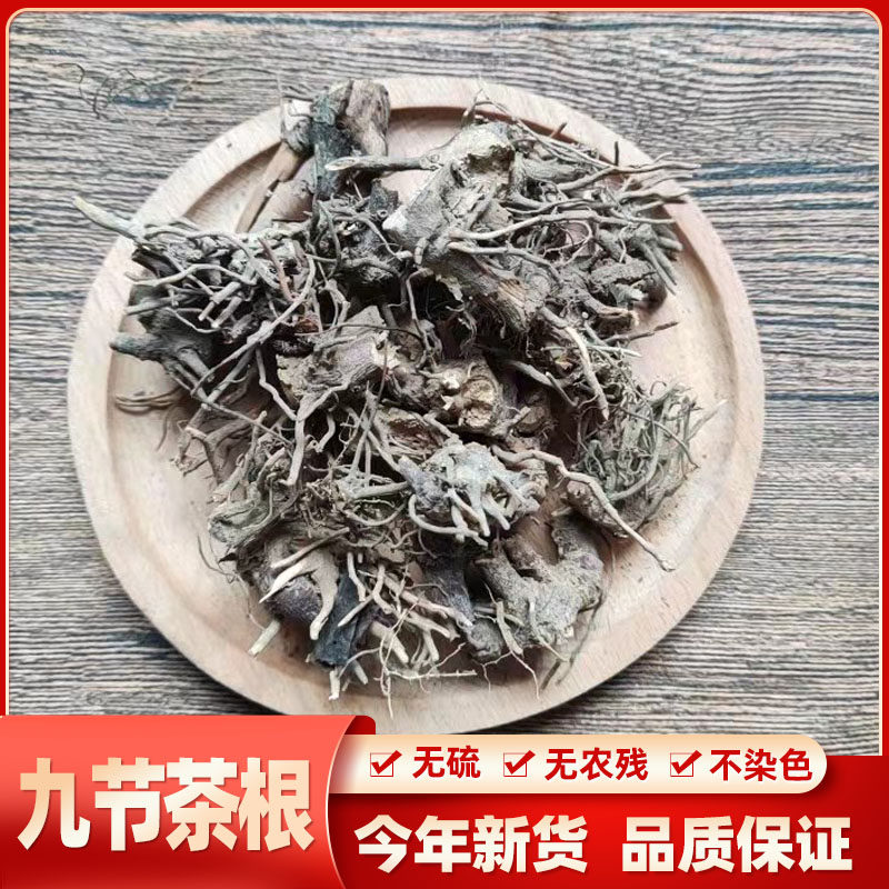 野生中药材九节茶根肿节风根九节风根接骨莲根草珊瑚根500克包邮