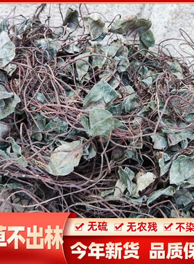 全草不出林中药材矮地茶 野生叶底珠 叶下红干品紫金牛500g平地木
