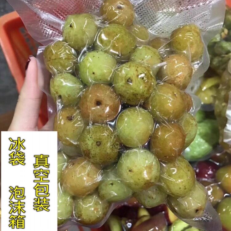 潮汕新鲜拖油柑 手工腌制酸甜油甘果 油柑解腻孕吐梅汁水果
