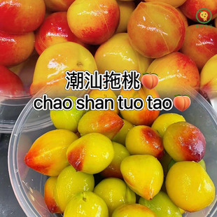 拖桃拖青芒潮汕新鲜甘草梅汁水果酸甜拖桃拖李桃子腌脆桃腌制水果