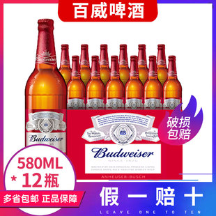 Budweiser/百威啤酒瓶装百威啤酒580ML*12瓶整箱正品