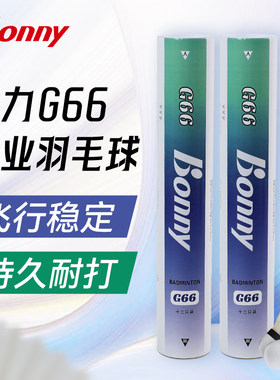 G66鹅毛球飞行稳定羽毛球