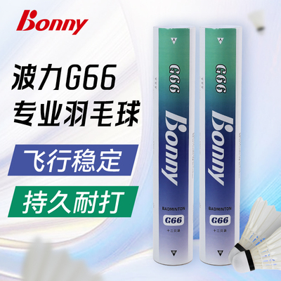 G66鹅毛球飞行稳定羽毛球