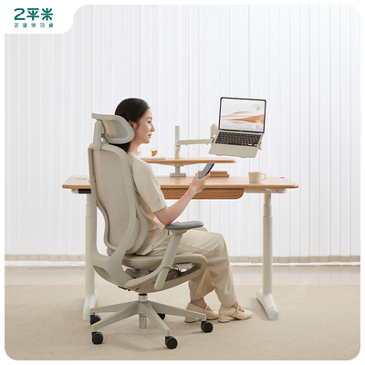 2平米电脑椅人体工学椅家用办公椅久坐舒适电竞椅子靠背椅座椅