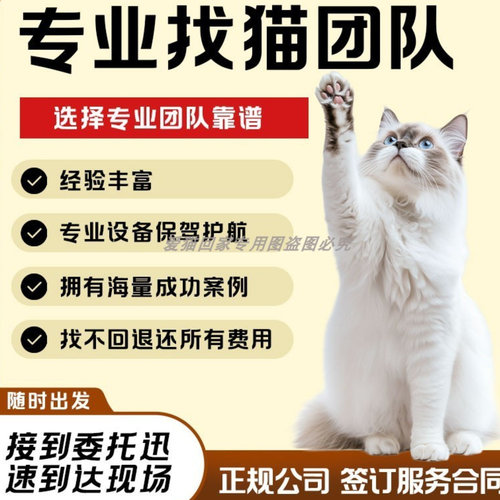 全国找猫找狗专业找猫团队24小时上门服务猫丢了上门寻找服务