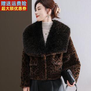 水貂绒皮草大衣外套女开衫短款狐狸毛领羊毛衫宽松大码豹纹卡腰厚