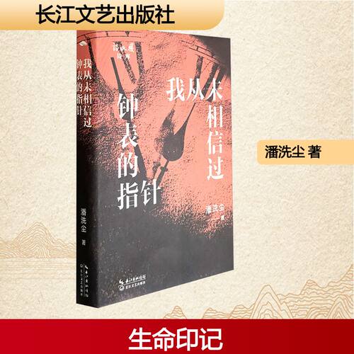 我从未相信过钟表的指针潘洗尘长江文艺出版社文学