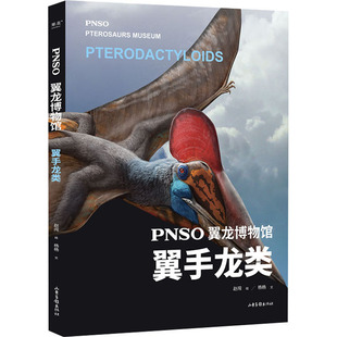PNSO翼龙博物馆 翼手龙类 山东画报出版社 赵闯,杨杨 著