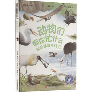 动物们都在忙什么 翩翩起舞的鸟儿 上海科学技术出版社 王德华,禹娜;何鑫 编 集“文、图、音频”于一体 科普百科