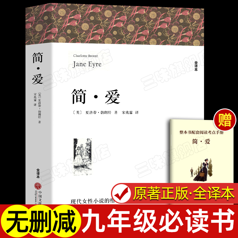 赠考点 简爱 书籍正版原著九年级下册必读 完整版无删减 阅读名著课外书 初中生初三课外和儒林外史人民文学教育中国文联出版社