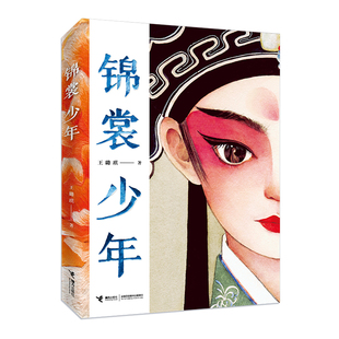 锦裳少年 接力出版社 王璐琪 著