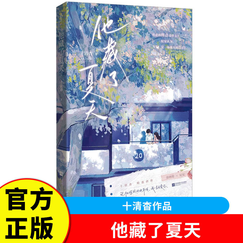 他藏了夏天 高人气作家十清杳著 讲述青春爱情与成长故事展现夏日浪漫与人生感悟文字清新情感真挚适合青少年及言情小说
