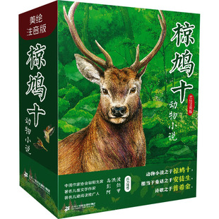 椋鸠十动物小说 小雨乌鸦/金色河流/小螃蟹去散步/山大王/消逝了的狐狸/月夜和田鼠 美绘注音版(全6册)