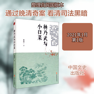 杨乃武与小白菜 中国文史出版社 [清]黄南丁 著 中国古诗词