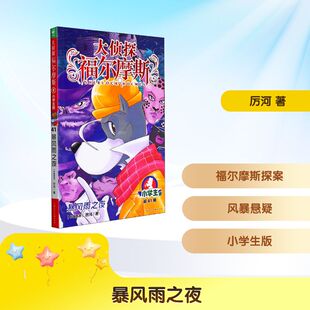暴风雨之夜 小学生版 上海人民美术出版社 厉河 著 儿童文学