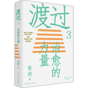 渡过3 治愈的力量 中国工人出版社 张进 著 心理学